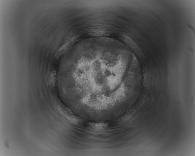 X0000101220165200807181600