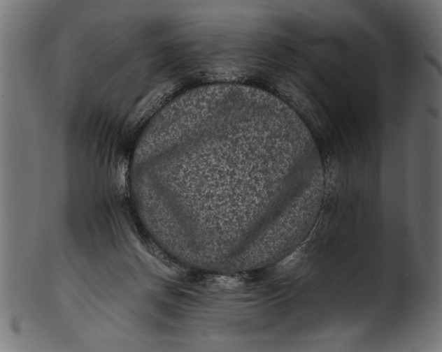X0000101220166200807181600