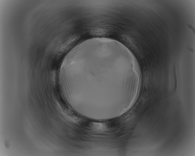 X0000101220167200807181600