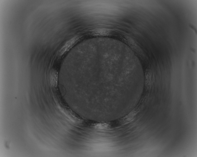 X0000101220168200807181600