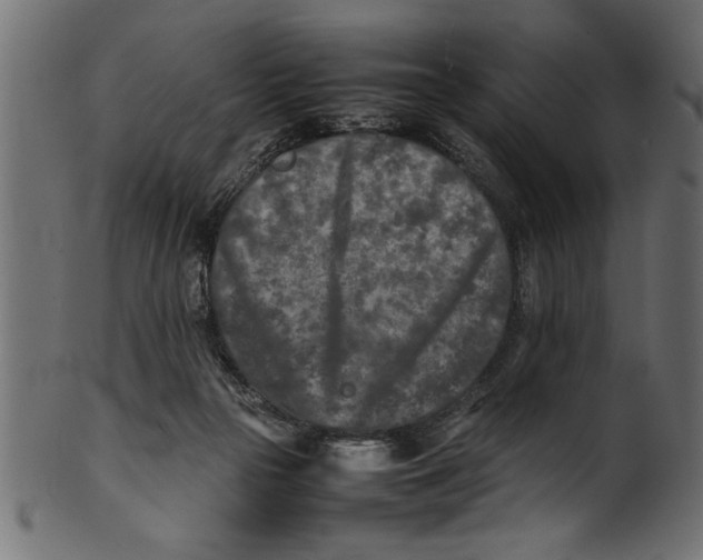 X0000101220169200807181600