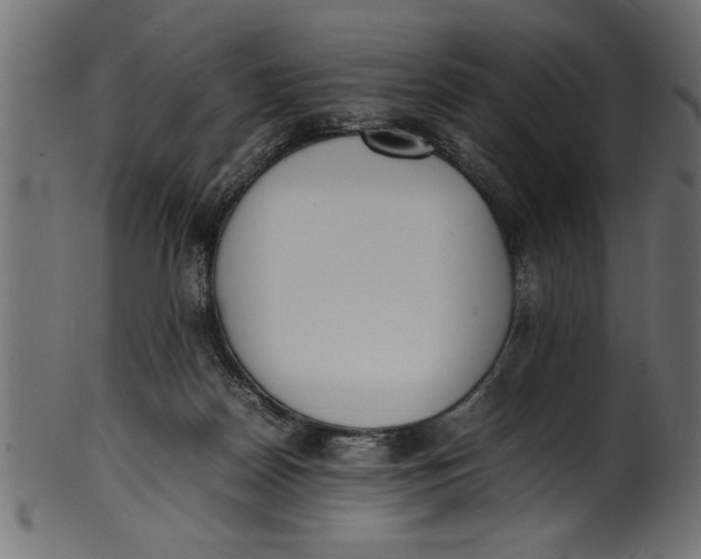 X0000101220170200807181600