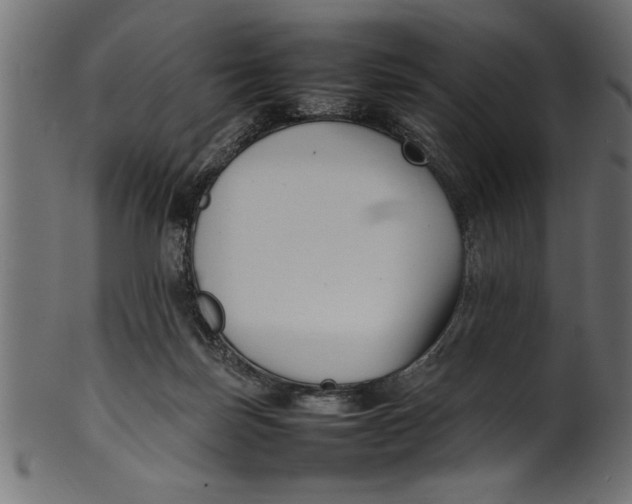 X0000101220171200807181600