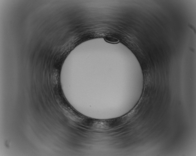 X0000101220174200807181600