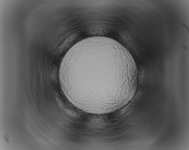 X0000101220175200807181600