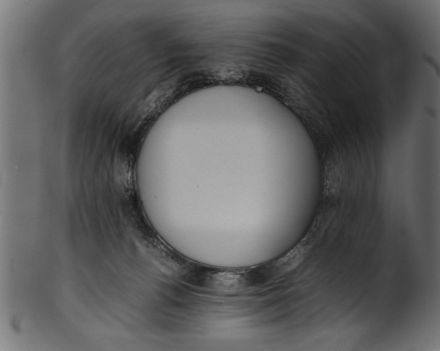 X0000101220176200807181600