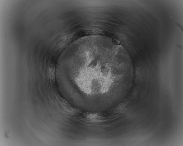 X0000101220177200807181600