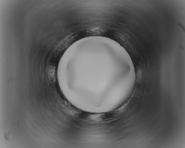 X0000101220178200807181600