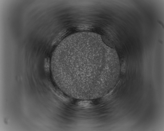 X0000101220179200807181600