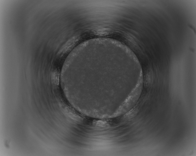 X0000101220180200807181600