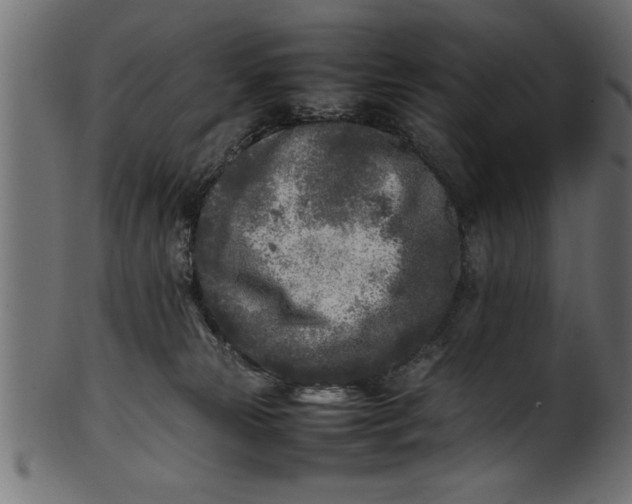 X0000101220181200807181600