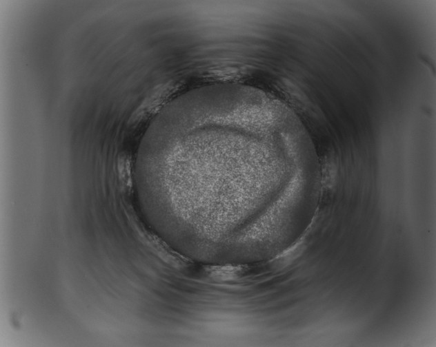 X0000101220182200807181600