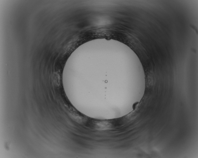 X0000101220183200807181600