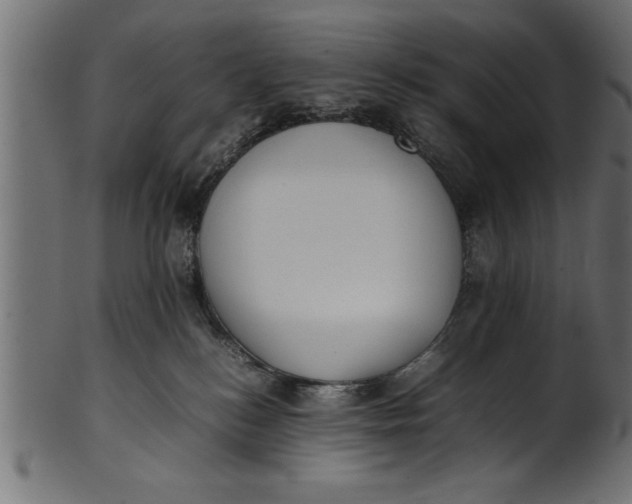 X0000101220184200807181600