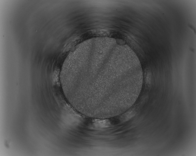 X0000101220185200807181600
