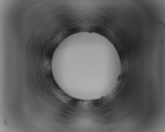 X0000101220186200807181600