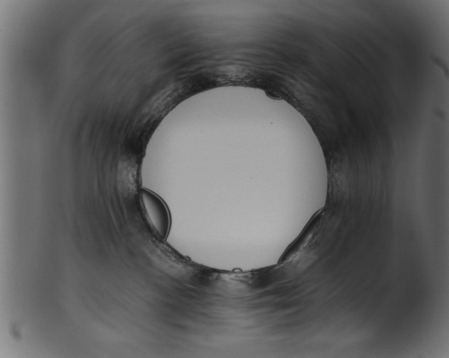 X0000101220188200807181600