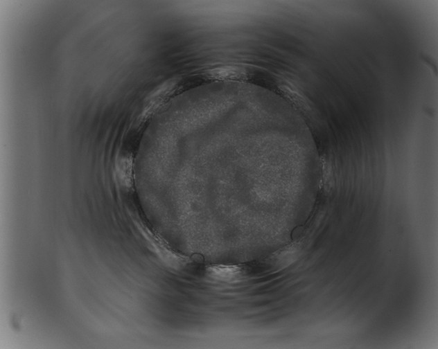 X0000101220189200807181600