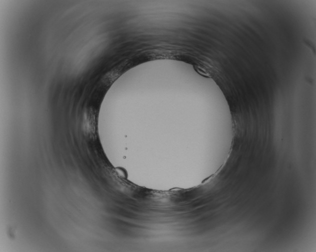 X0000101220190200807181600