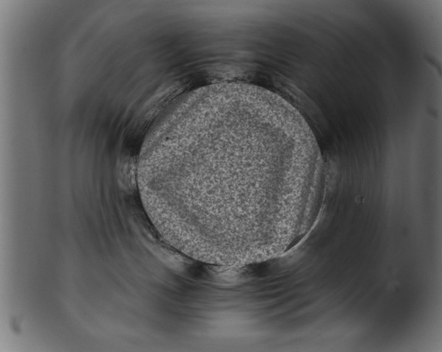 X0000101220191200807181600