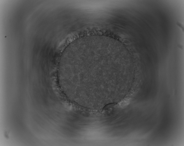 X0000101220192200807181600