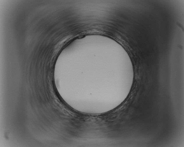 X0000101220193200807181559