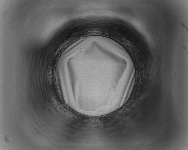 X0000101220194200807181559