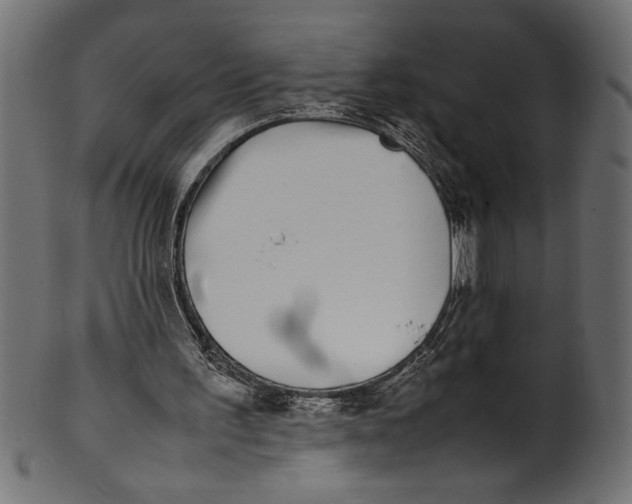 X0000101220195200807181559