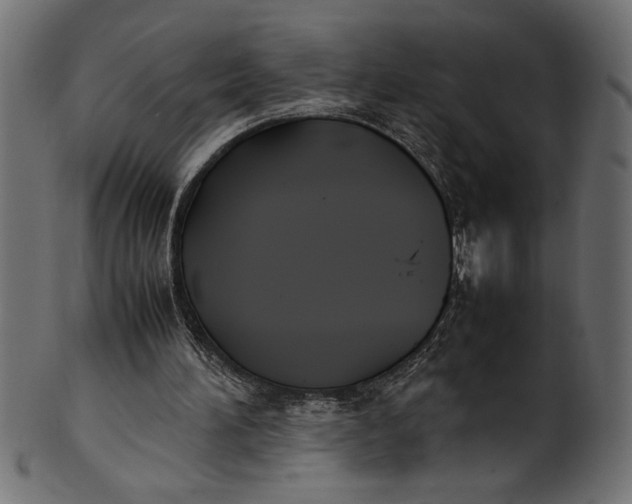 X0000101220196200807181559