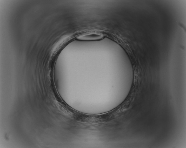 X0000101220197200807181559