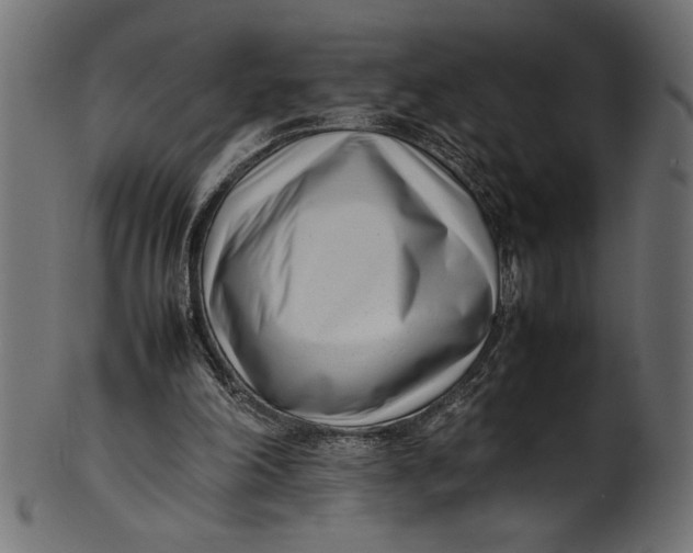 X0000101220198200807181559