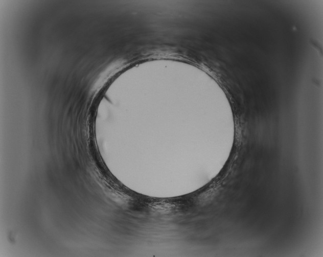 X0000101220199200807181559