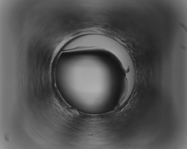 X0000101220200200807181559