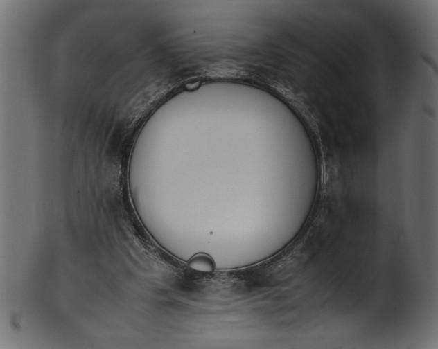 X0000101220201200807181559