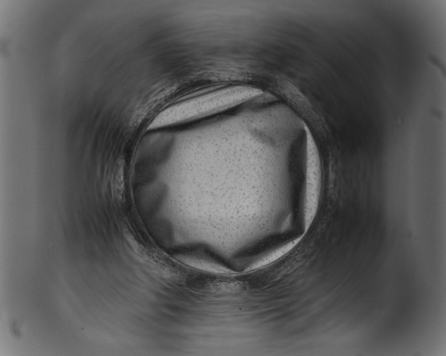 X0000101220202200807181559