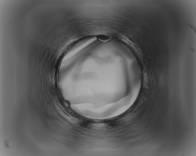 X0000101220203200807181559