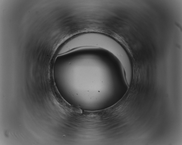 X0000101220204200807181559