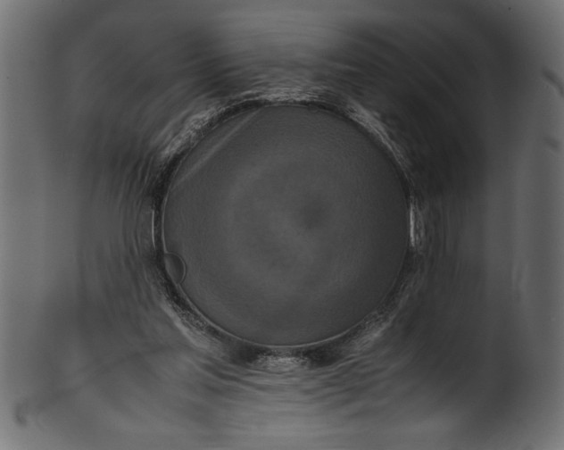 X0000101220205200807181559