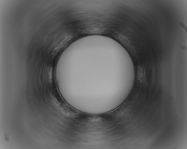 X0000101220206200807181559