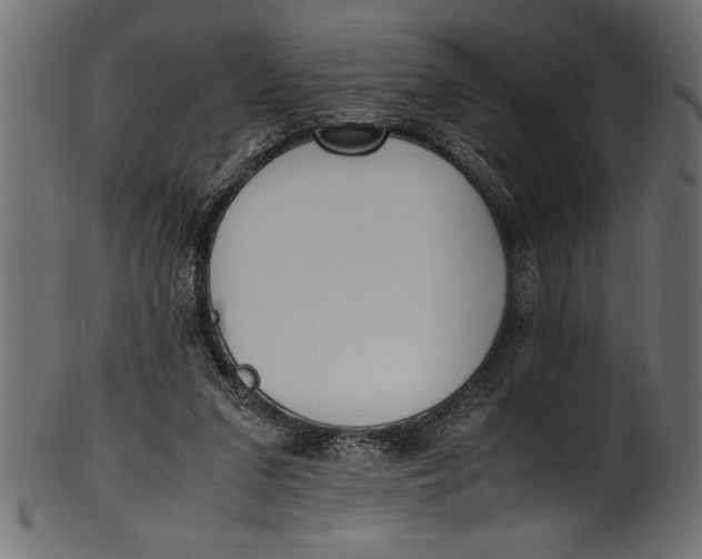 X0000101220207200807181559