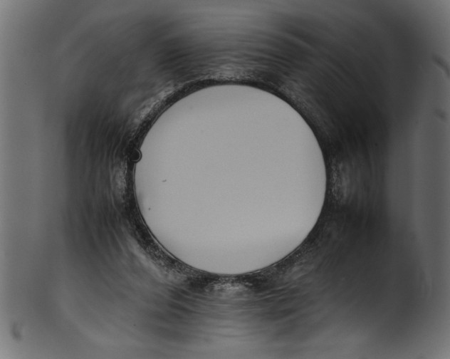 X0000101220208200807181559