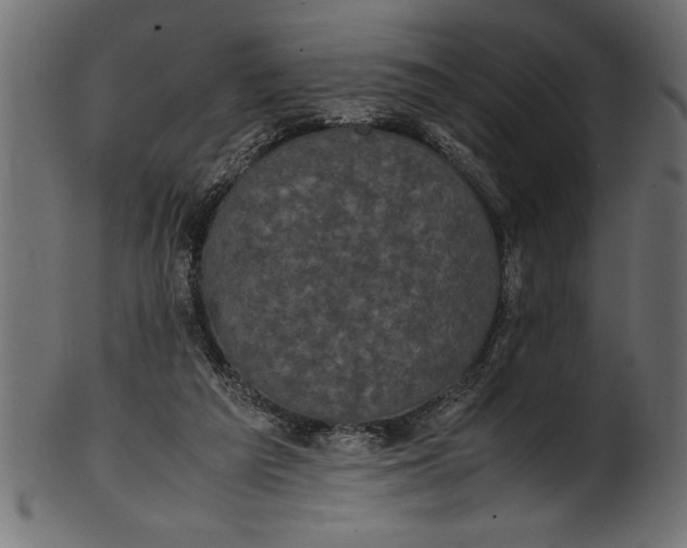 X0000101220209200807181559