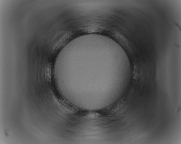X0000101220210200807181559