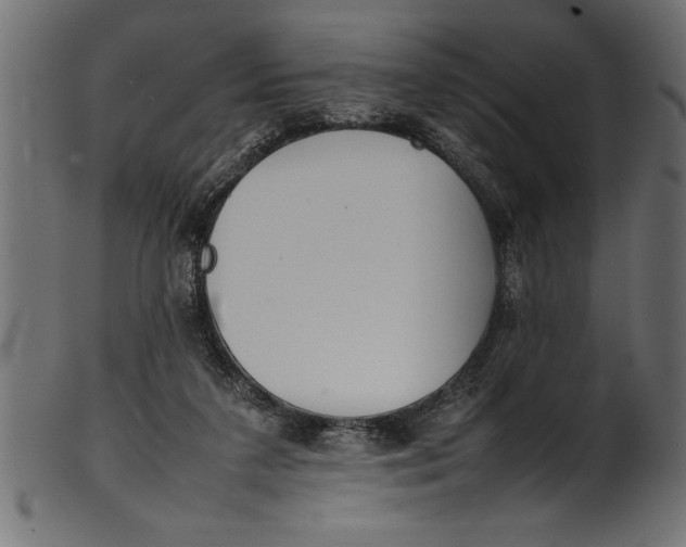 X0000101220211200807181559