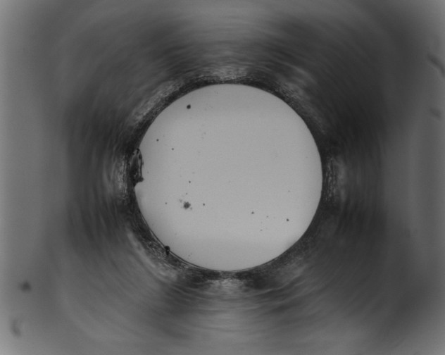 X0000101220212200807181559