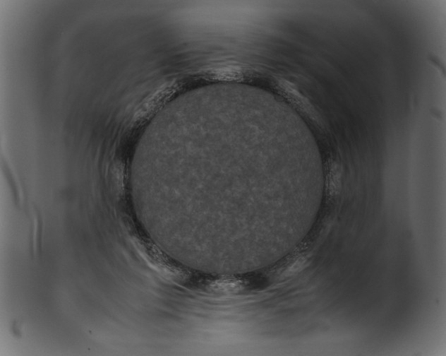 X0000101220213200807181559
