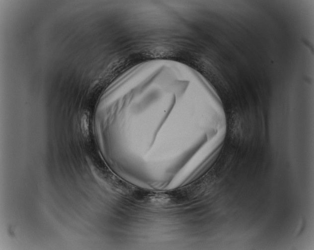 X0000101220214200807181559