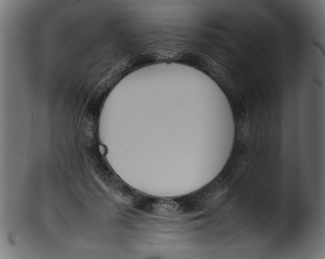X0000101220215200807181559