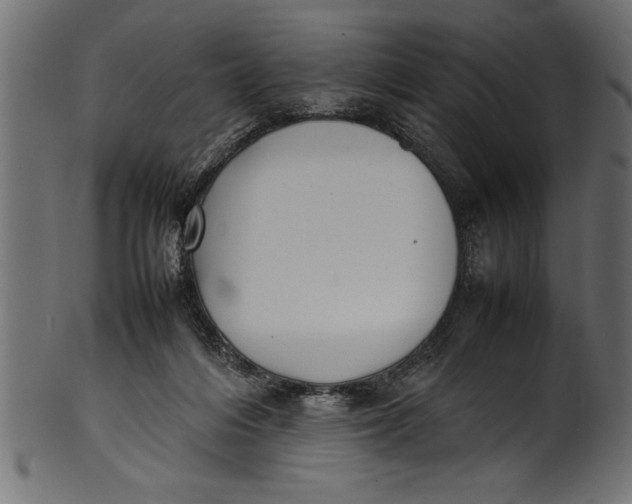 X0000101220216200807181559