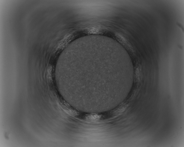X0000101220217200807181559